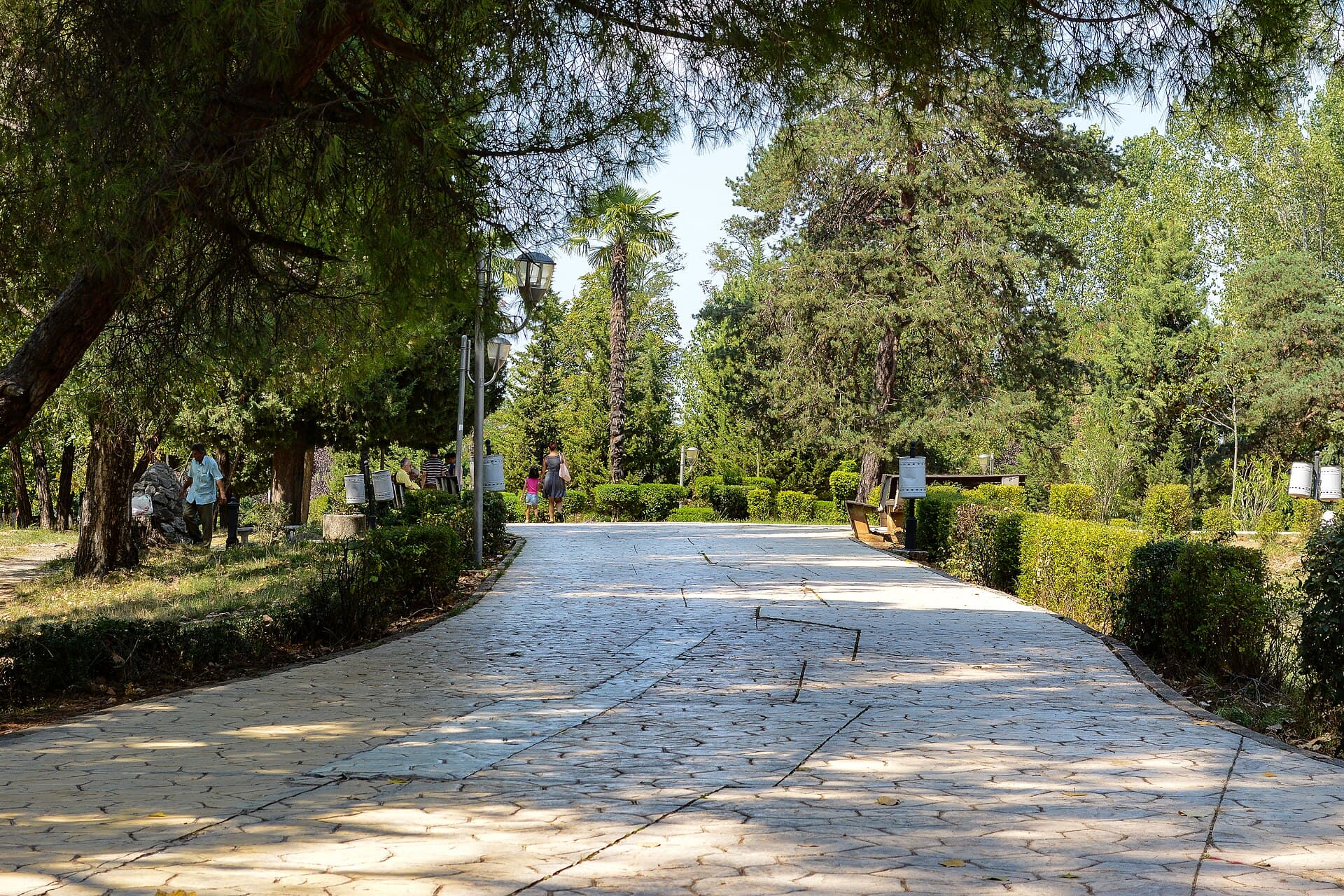 Parku i Madh